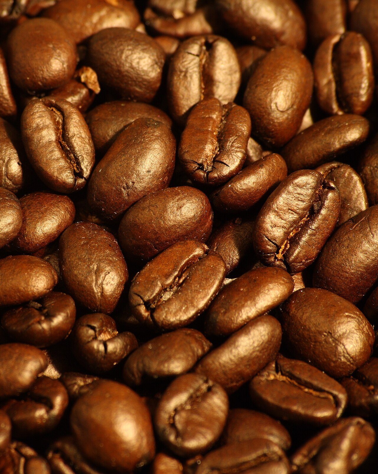 Dark roasted espresso blend coffee beans